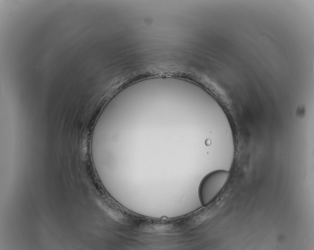 X0000091560065200708171110