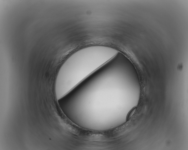 X0000091560066200708171110