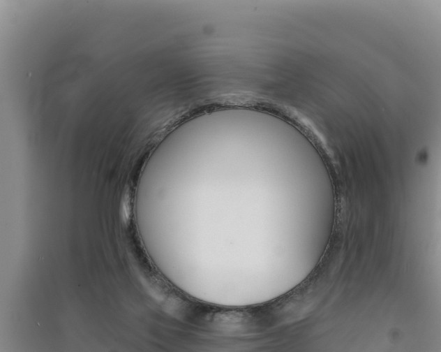 X0000091560069200708171110