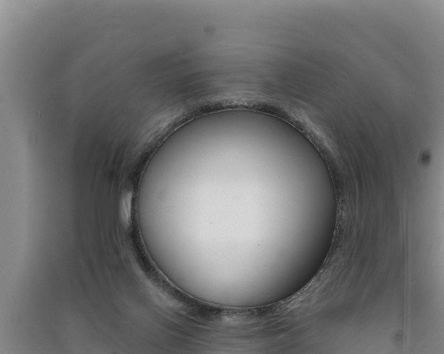 X0000091560070200708171110