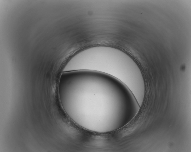 X0000091560072200708171110