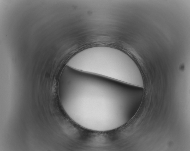 X0000091560073200708171110