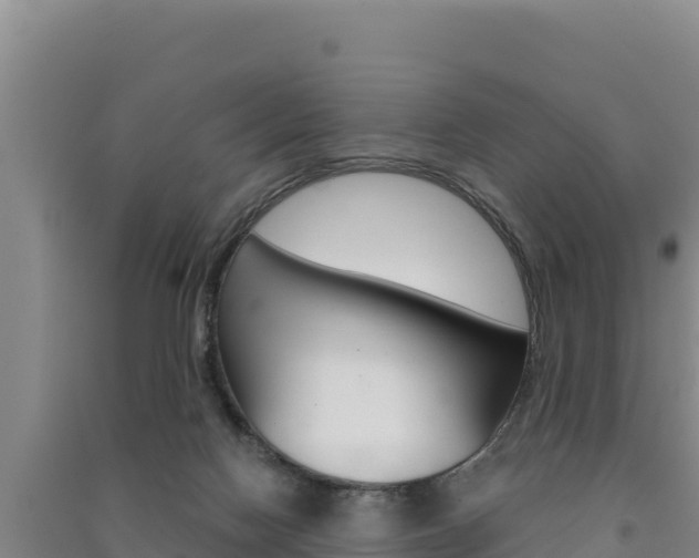 X0000091560074200708171110