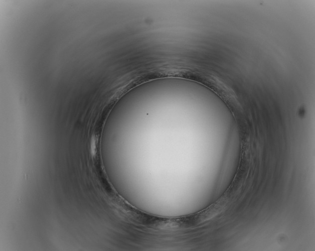 X0000091560075200708171110