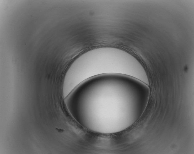 X0000091560076200708171110