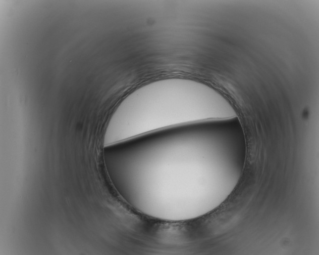 X0000091560077200708171110