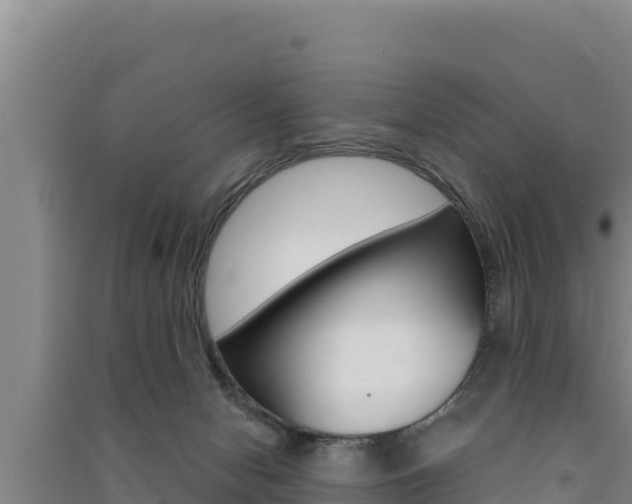 X0000091560078200708171110