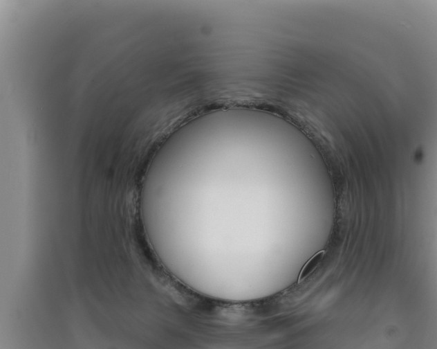 X0000091560079200708171110