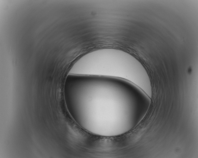 X0000091560080200708171110