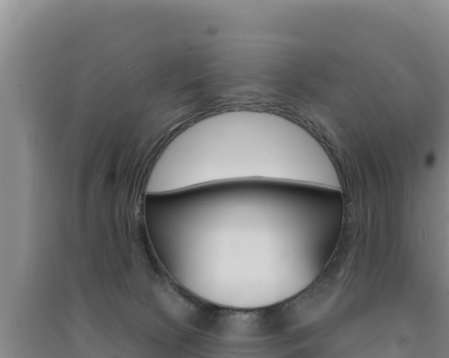 X0000091560081200708171110