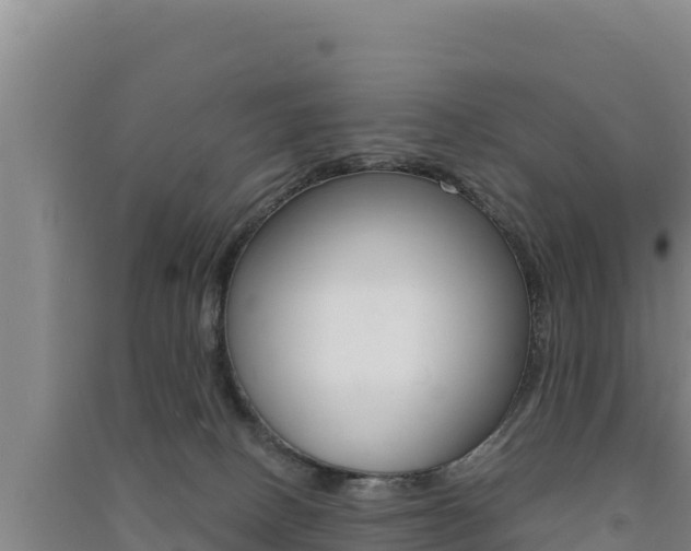 X0000091560082200708171110