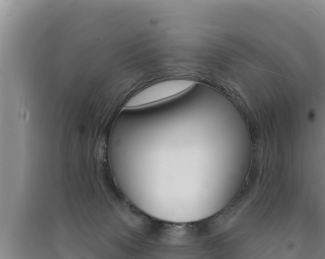 X0000091560083200708171110