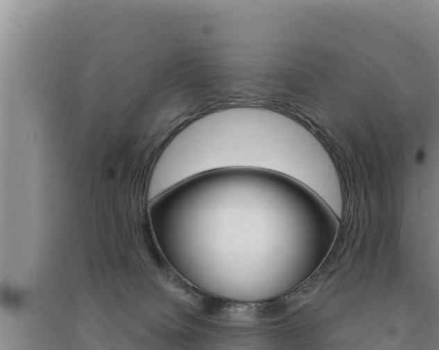 X0000091560084200708171110