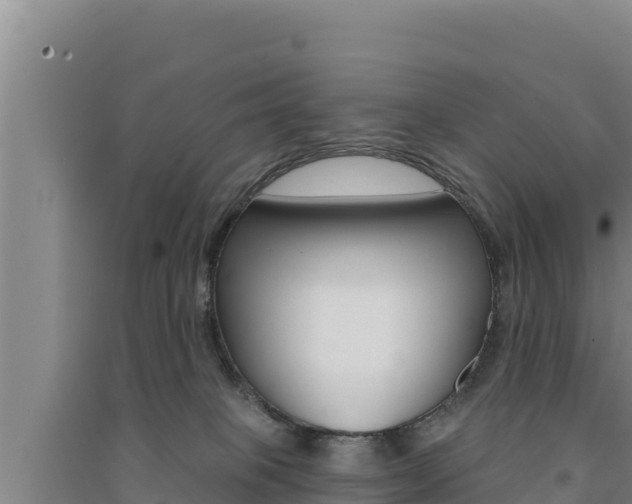 X0000091560085200708171110