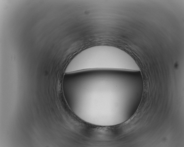 X0000091560086200708171110