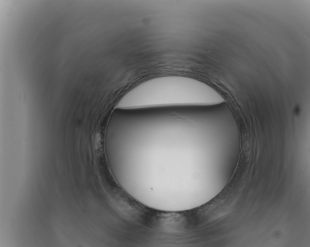 X0000091560087200708171110