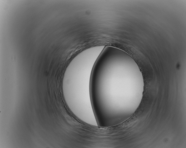 X0000091560088200708171110