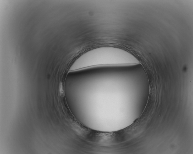 X0000091560089200708171110