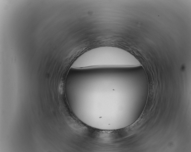 X0000091560090200708171110