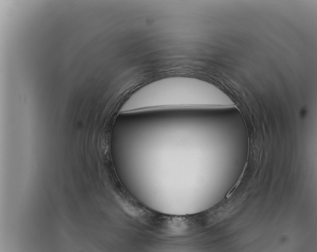 X0000091560091200708171110