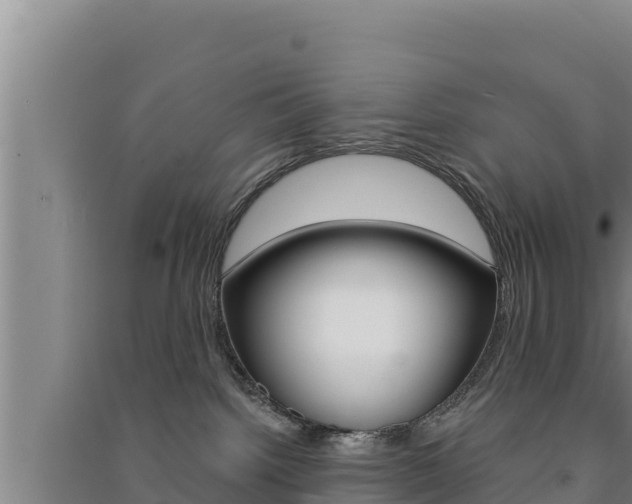 X0000091560092200708171110