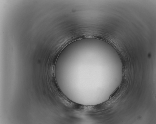 X0000091560093200708171110