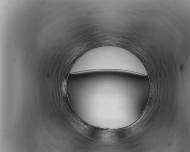 X0000091560094200708171110