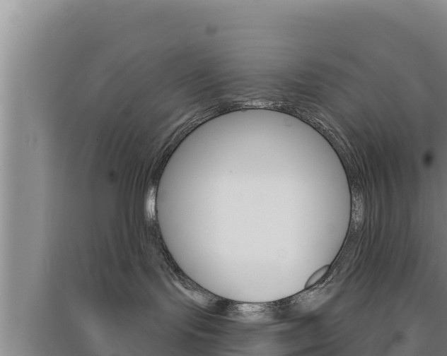 X0000091560095200708171110