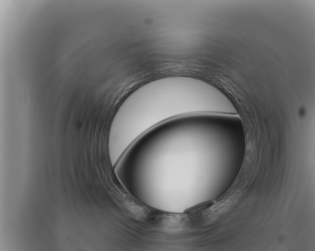 X0000091560096200708171110