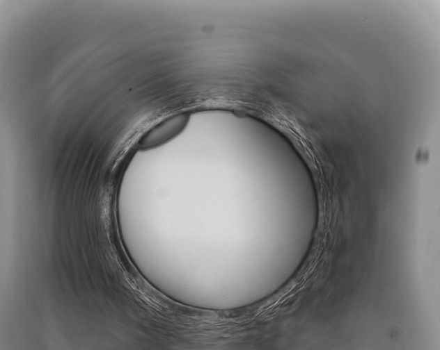 X0000091560098200708171109