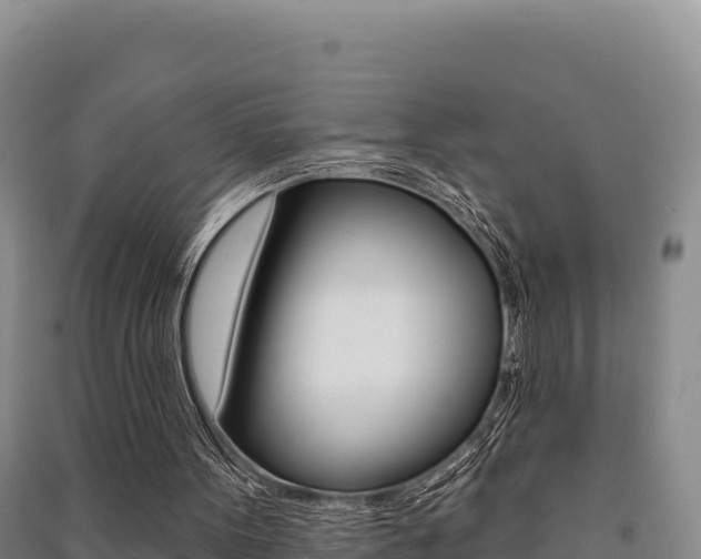 X0000091560099200708171109