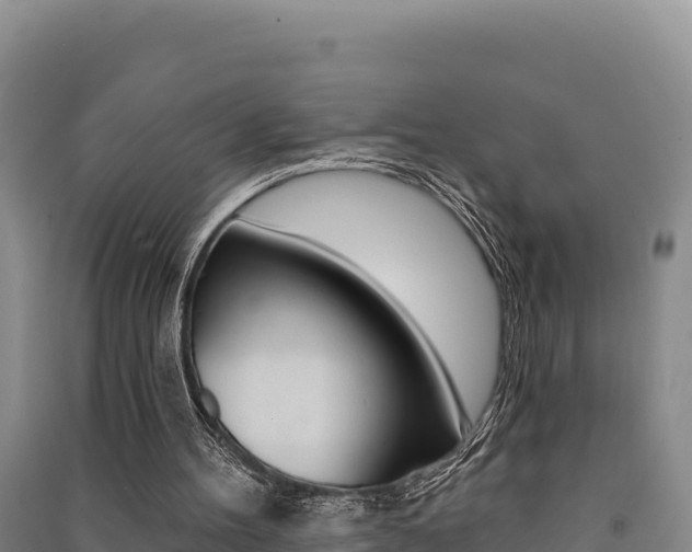 X0000091560100200708171109