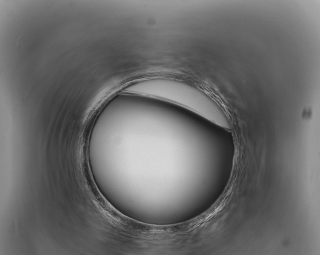 X0000091560101200708171109