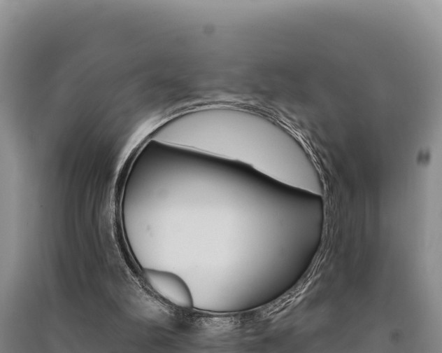 X0000091560102200708171109