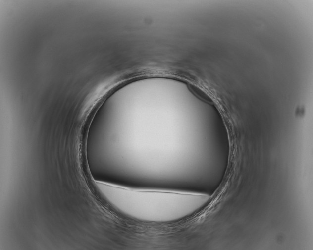 X0000091560103200708171109