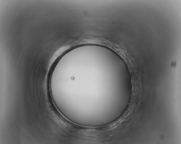 X0000091560104200708171109