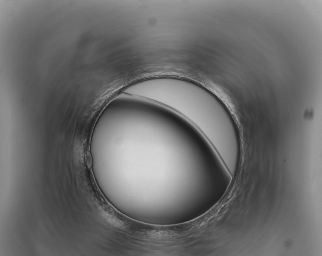 X0000091560105200708171109