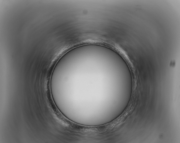 X0000091560106200708171109