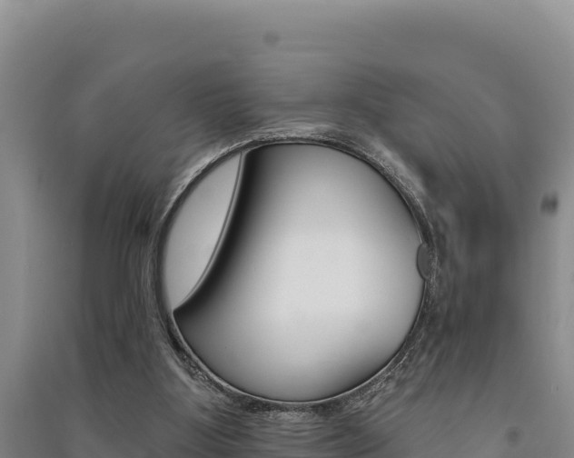 X0000091560107200708171109