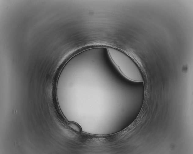 X0000091560108200708171109