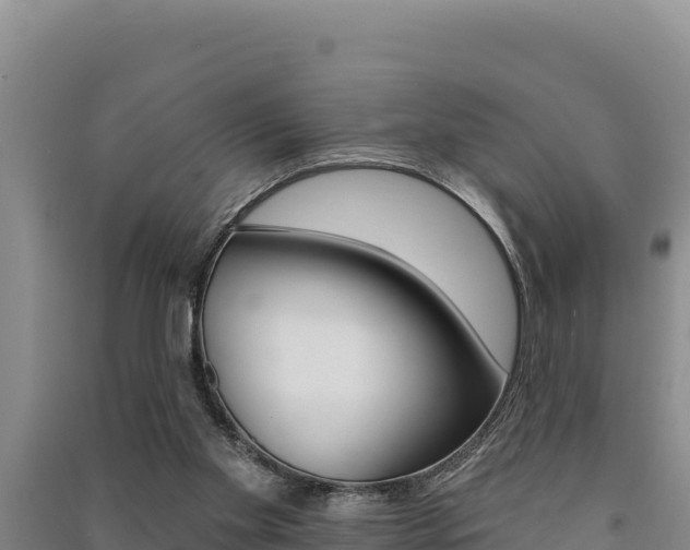 X0000091560109200708171109