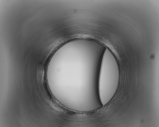 X0000091560110200708171109