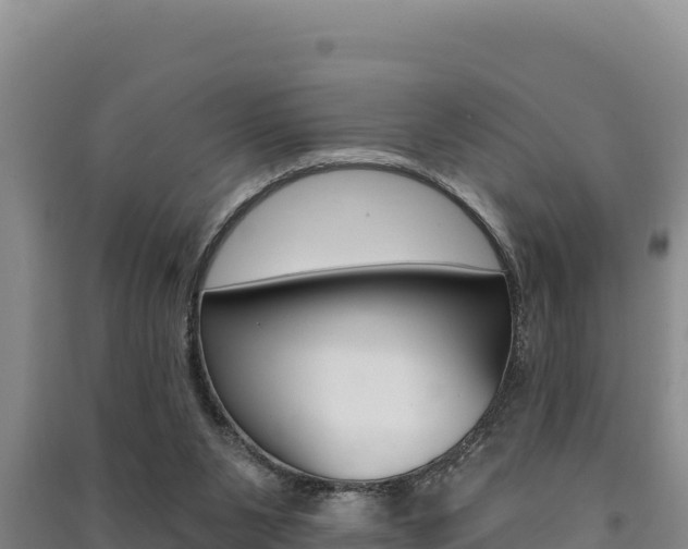 X0000091560111200708171109