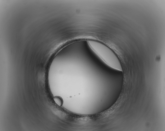 X0000091560112200708171109