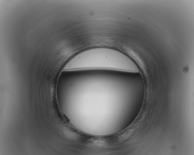 X0000091560113200708171109