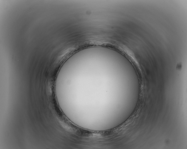 X0000091560114200708171109