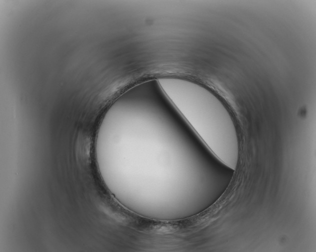 X0000091560115200708171109