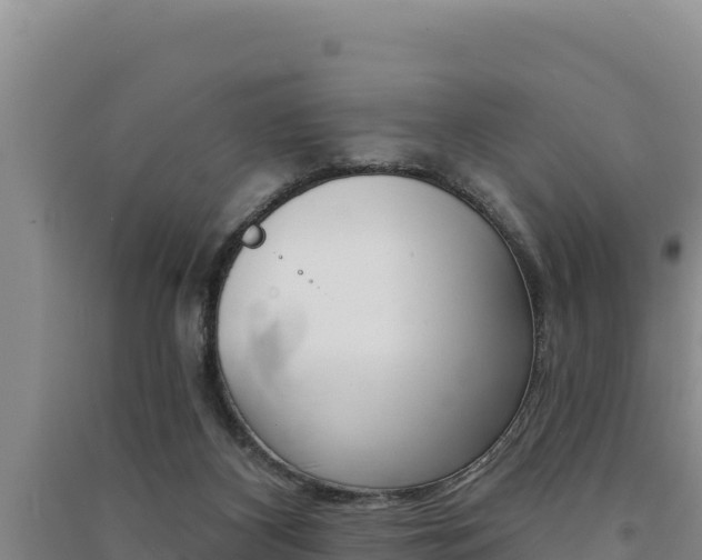 X0000091560116200708171109