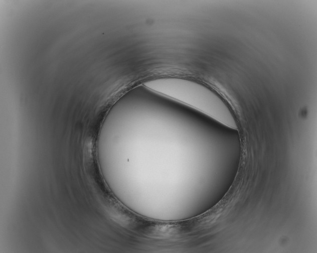 X0000091560117200708171109