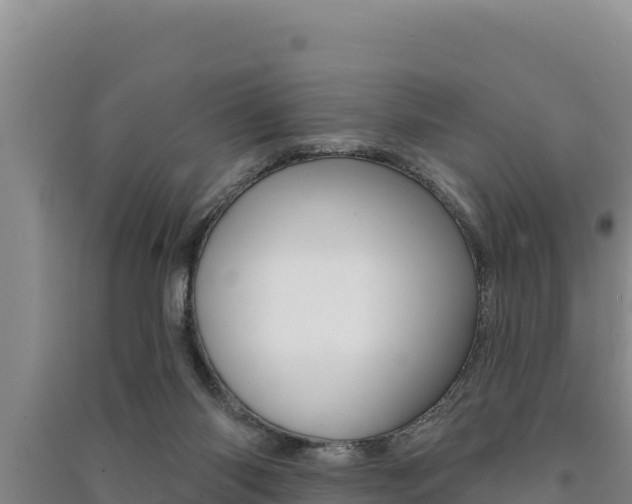 X0000091560118200708171109